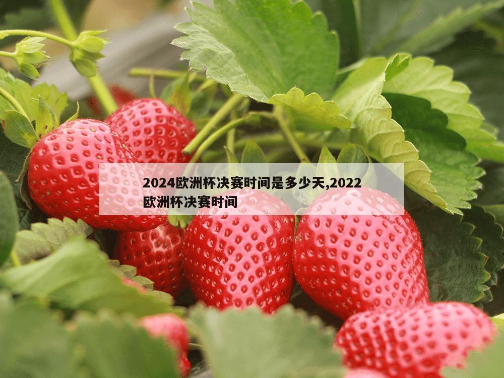 2024欧洲杯决赛时间是多少天,2022欧洲杯决赛时间