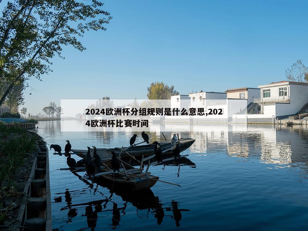 2024欧洲杯分组规则是什么意思,2024欧洲杯比赛时间