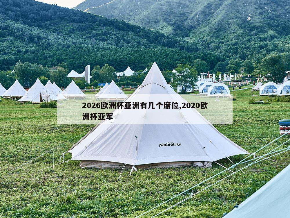 2026欧洲杯亚洲有几个席位,2020欧洲杯亚军