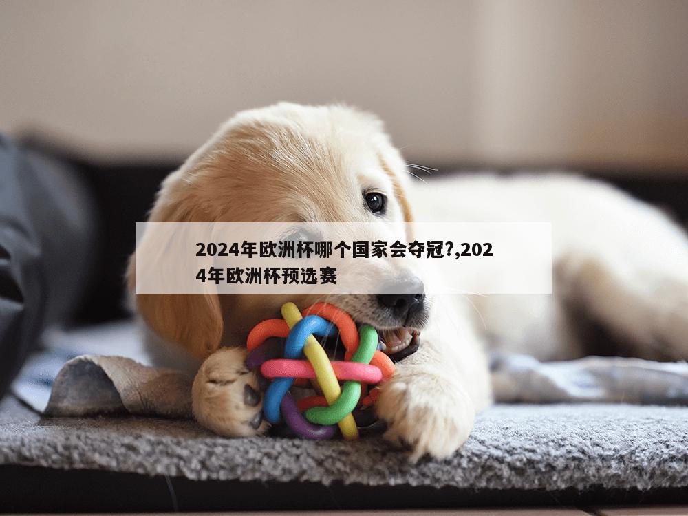 2024年欧洲杯哪个国家会夺冠?,2024年欧洲杯预选赛