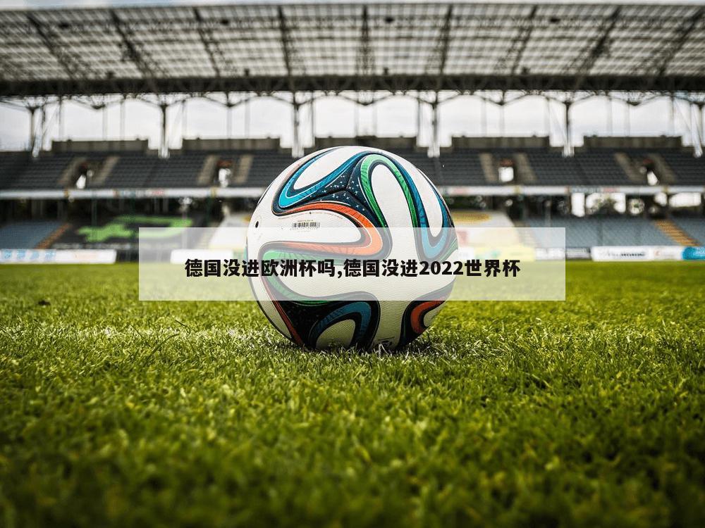 德国没进欧洲杯吗,德国没进2022世界杯