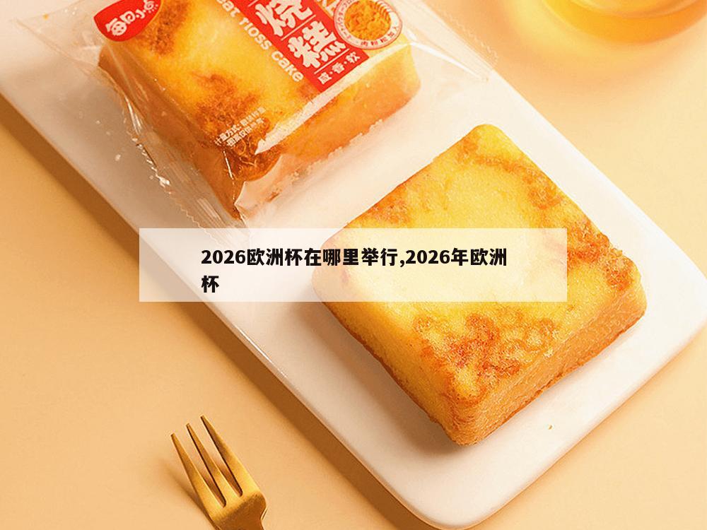 2026欧洲杯在哪里举行,2026年欧洲杯