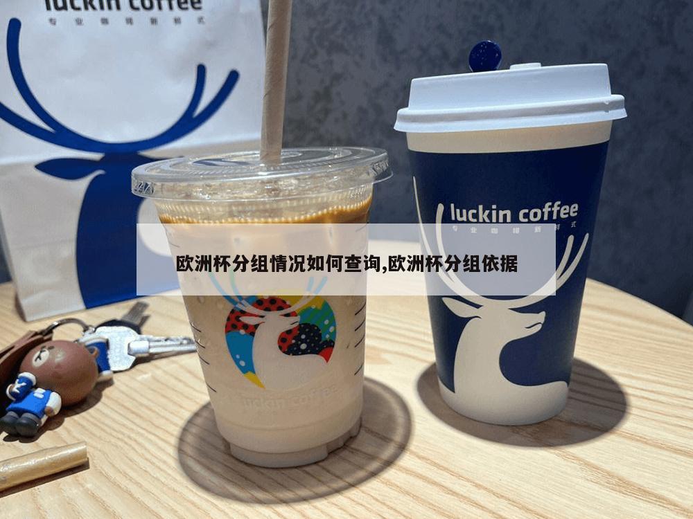 欧洲杯分组情况如何查询,欧洲杯分组依据