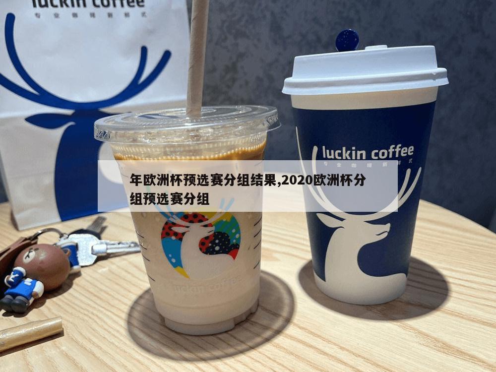 年欧洲杯预选赛分组结果,2020欧洲杯分组预选赛分组