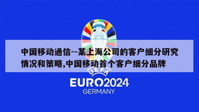 中国移动通信--某上海公司的客户细分研究情况和策略,中国移动首个客户细分品牌