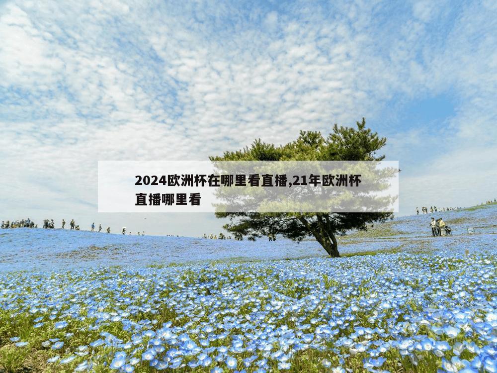 2024欧洲杯在哪里看直播,21年欧洲杯直播哪里看