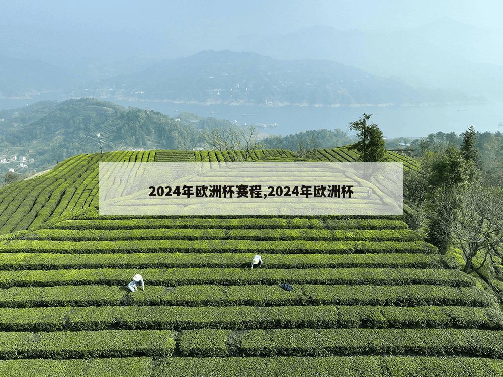 2024年欧洲杯赛程,2024年欧洲杯