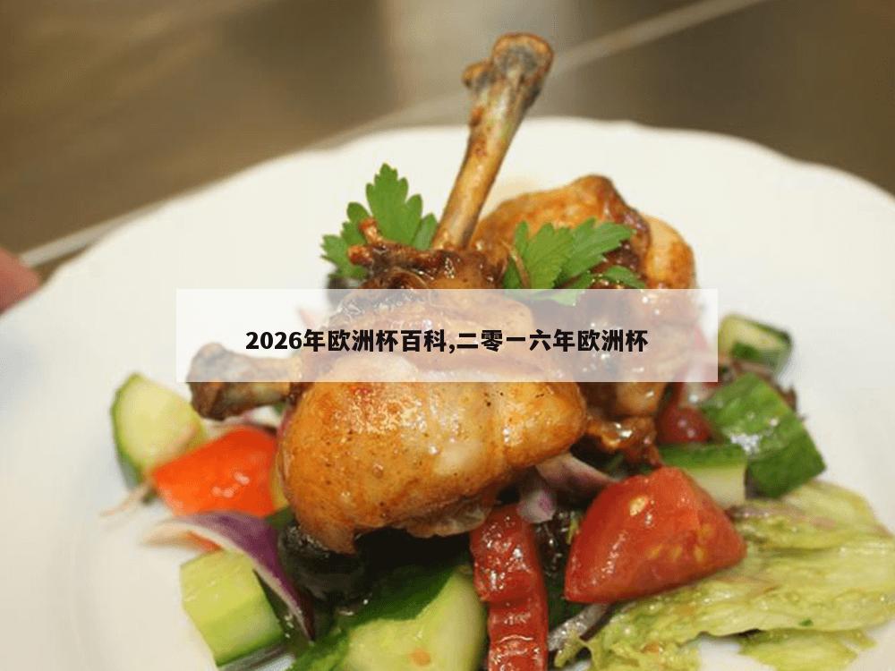 2026年欧洲杯百科,二零一六年欧洲杯