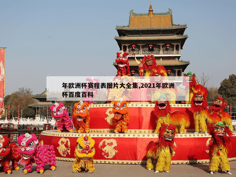 年欧洲杯赛程表图片大全集,2021年欧洲杯百度百科